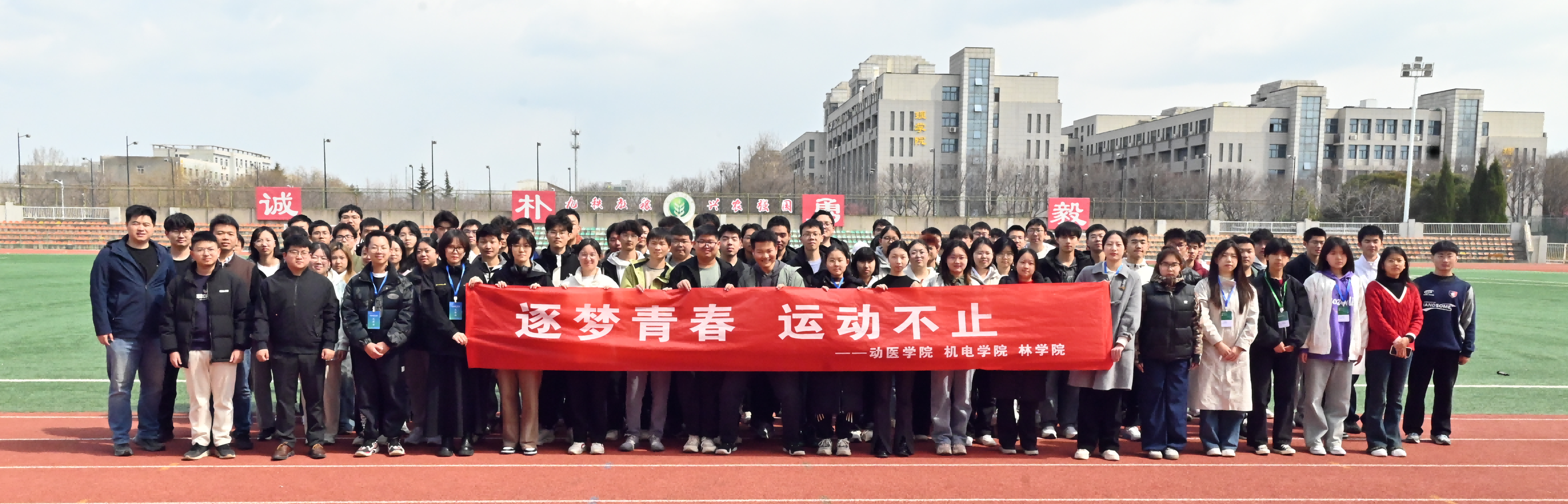 图片1_副本(1)(1).png
