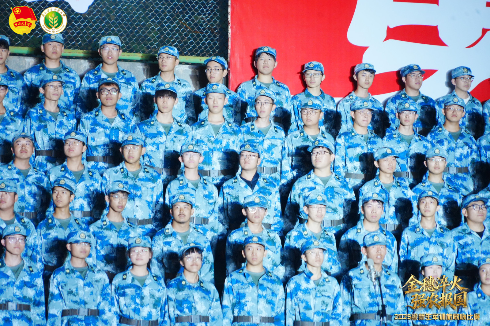 队伍7.jpg