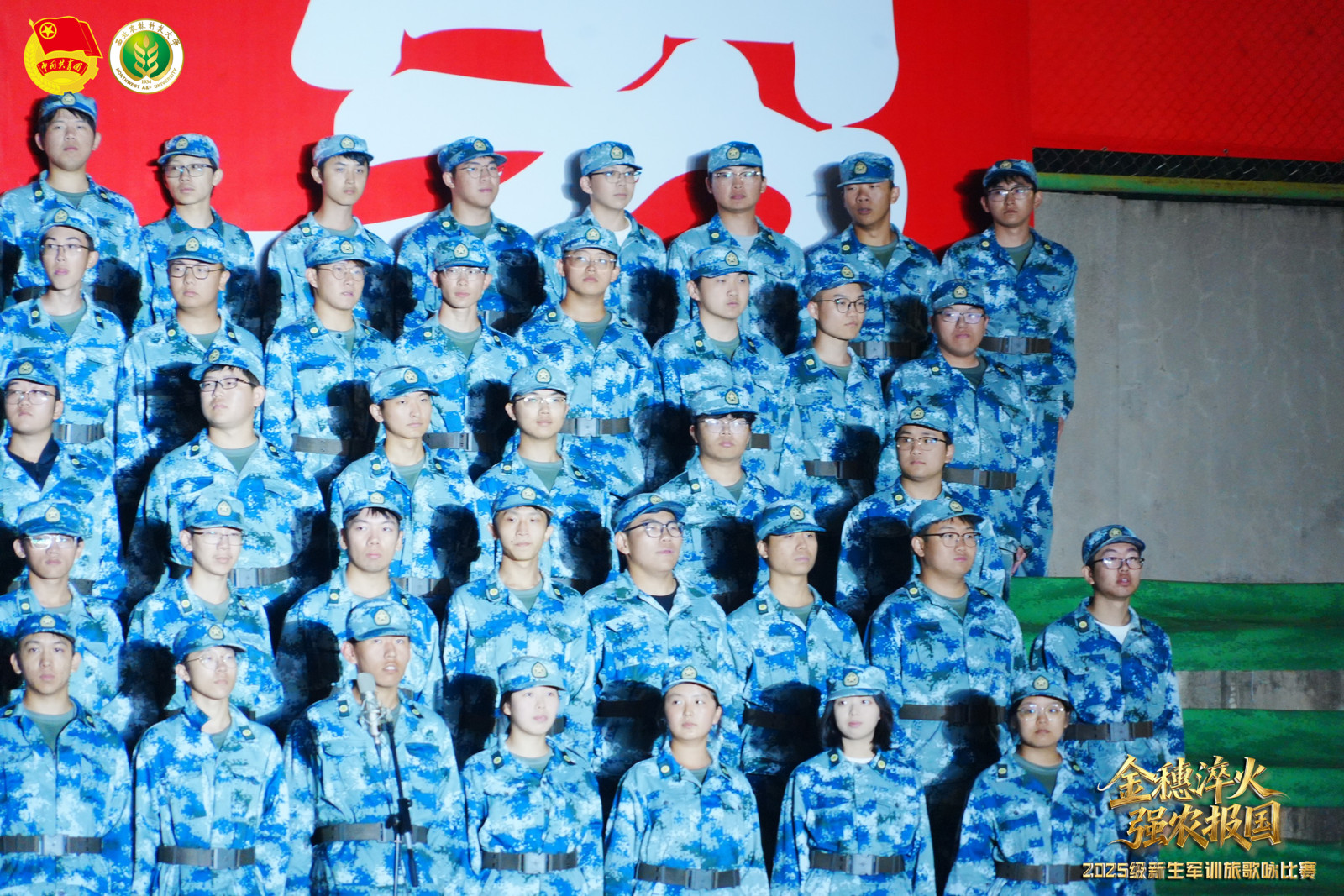 队伍8.jpg