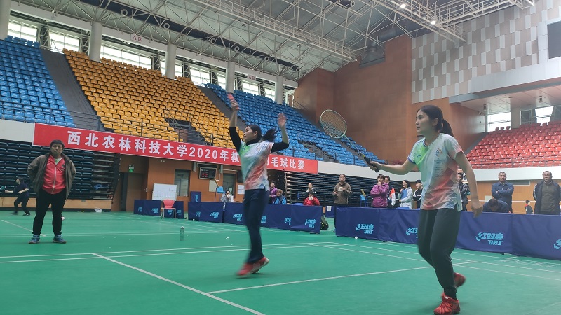 女双VS林公司.jpg
