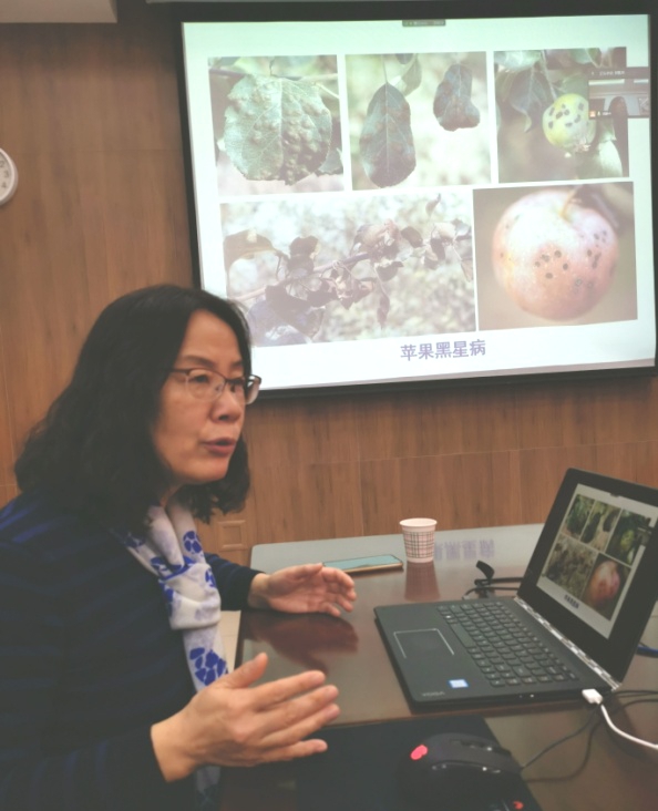 364cb1a48c1a410792d7110cce1b1dcd.jpg 黄丽丽教授作学术报告.jpg
