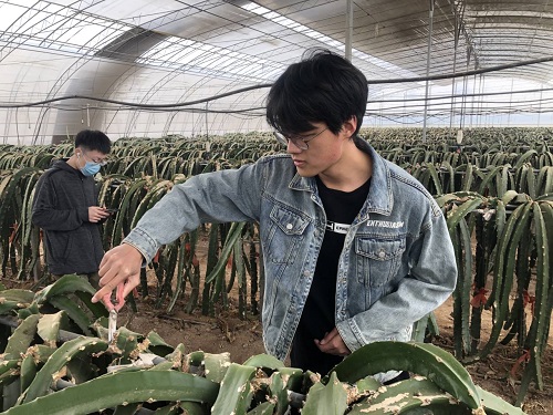 图一.jpg